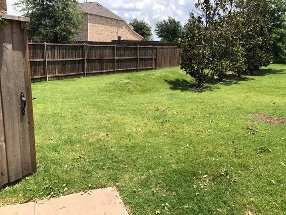 A large lush green yard with a wooden fence and a house in the background.