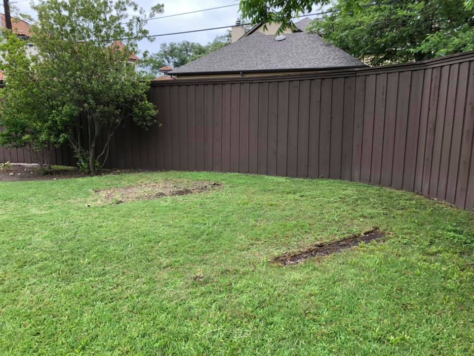 A backyard with a brown fence and a lush green lawn.