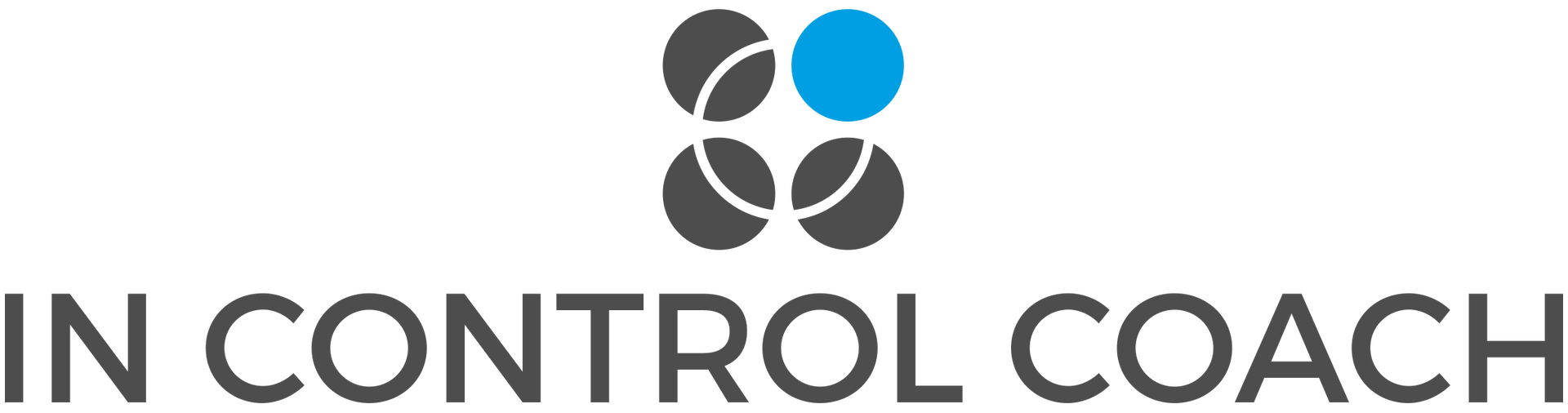 logo in control coach