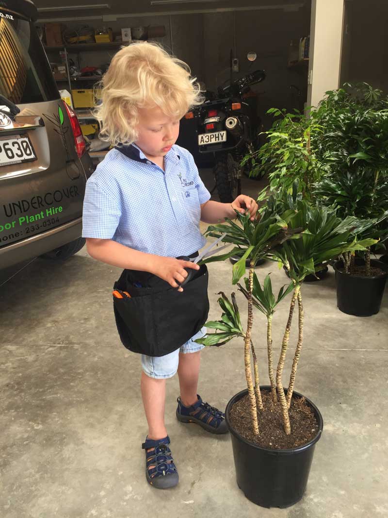 Young girl trimming the leaves of the plant