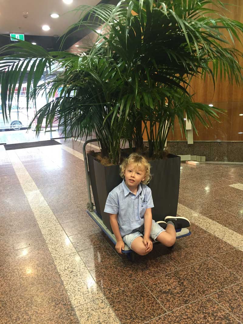 Young boy sitting in front of the plant