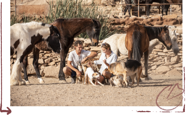 Ein Mann und eine Frau knien neben Pferden und Hunden im Sand.