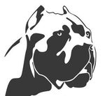 can corso puppies for sale near me