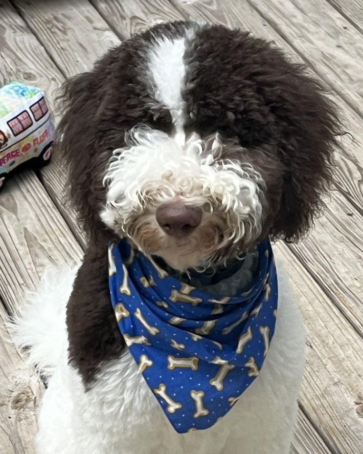 Roscoe