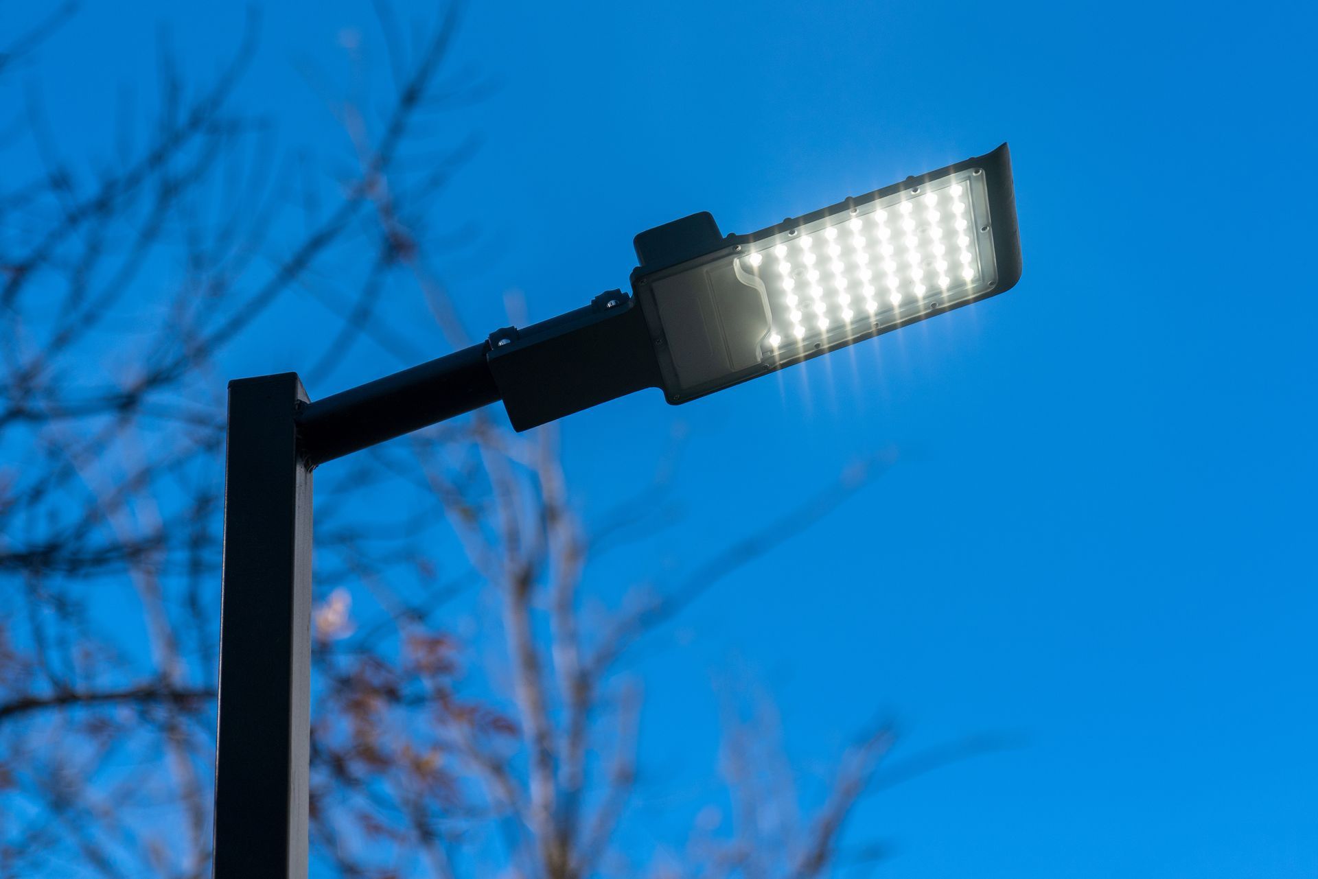 Modern streetlight glowing against a blue evening sky with bare tree branches. Modern streetlight glowing against a blue evening sky with bare tree branches.