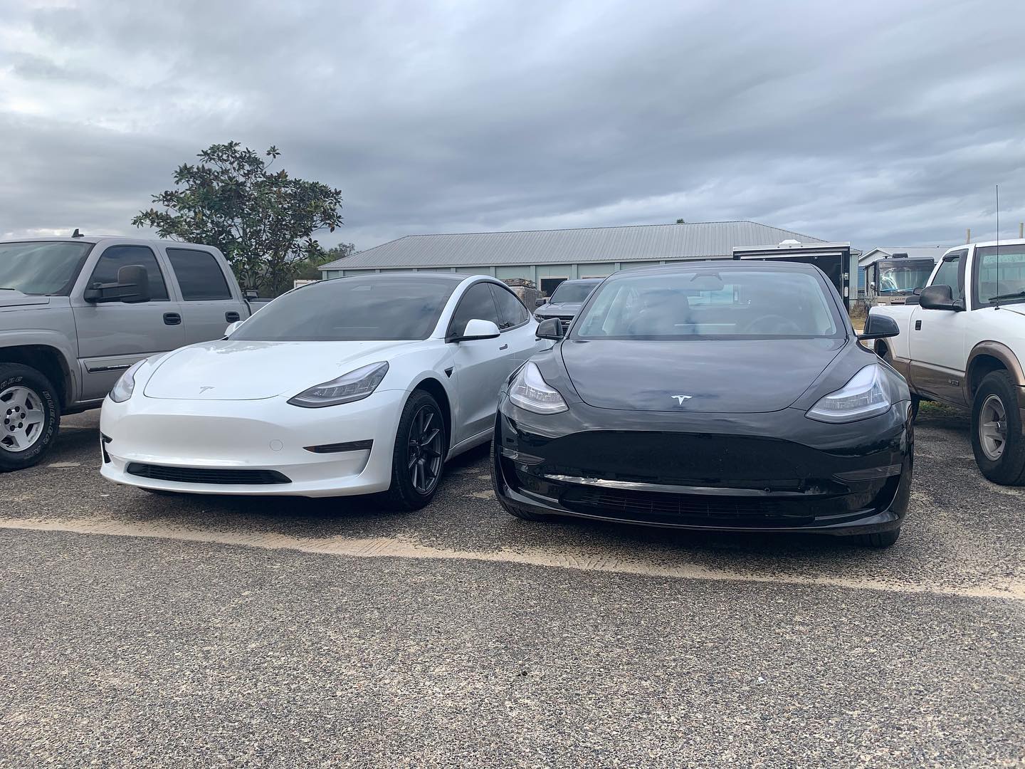 window tinting Palm Coast