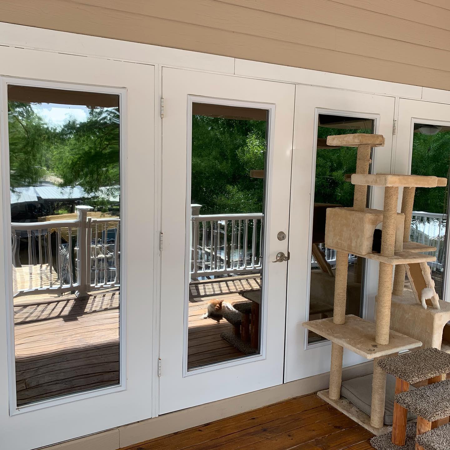 home window tinting Palm Valley FL