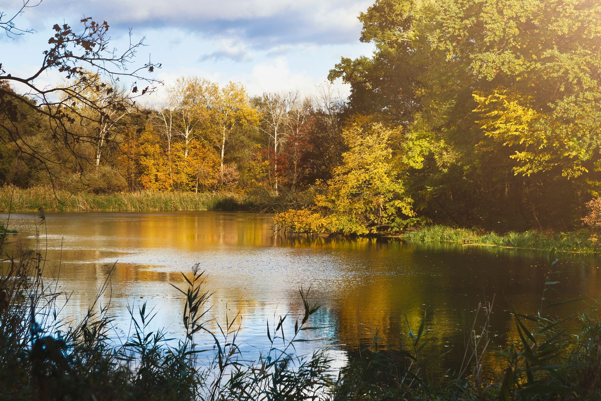 Autumn landscape with a lake reflecting trees in yellow, orange, and green. Sunny sky.