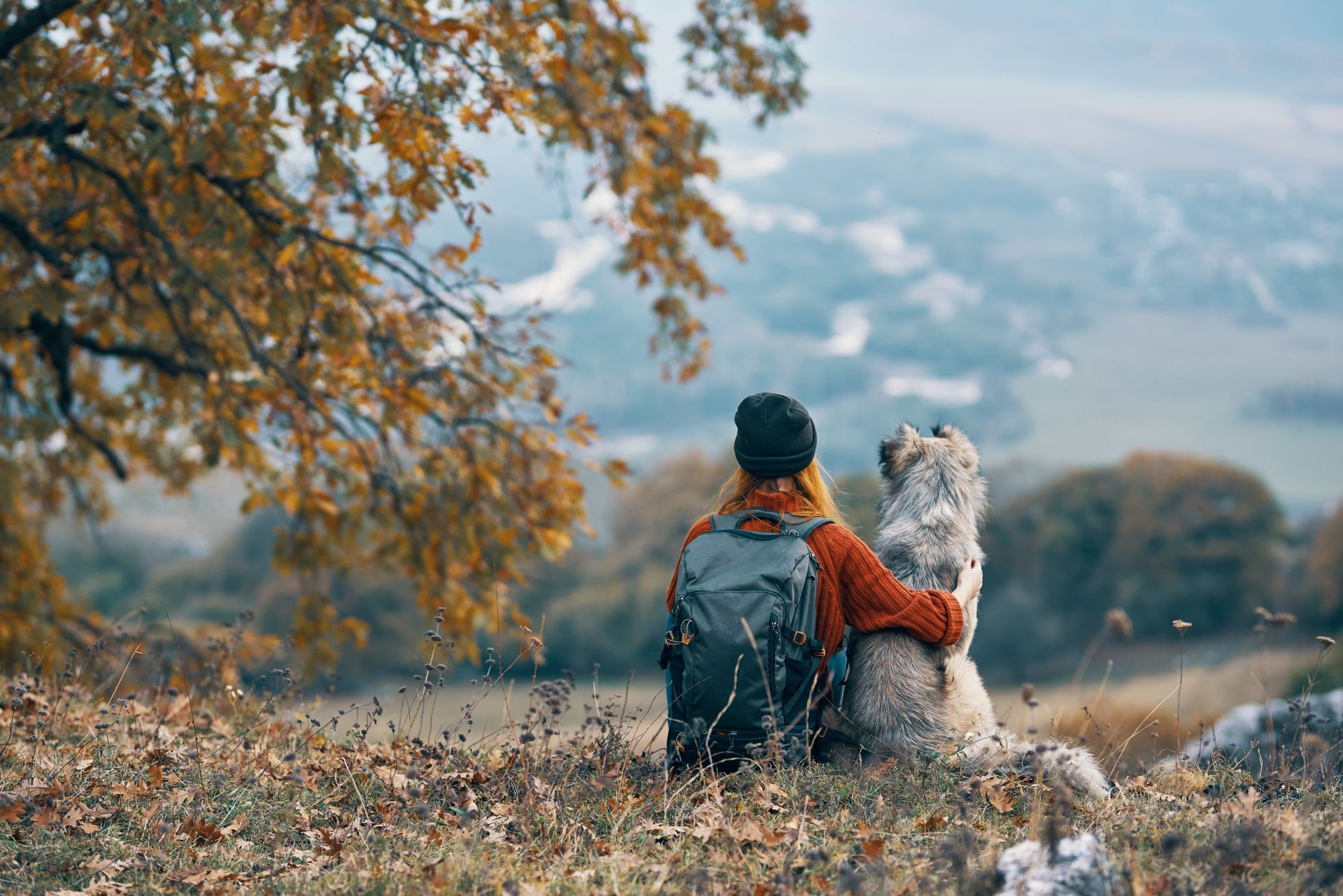 Woman with backpack hugs a fluffy dog, looking out at a scenic valley under a tree with yellow leaves.