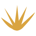 planta de agave icono
