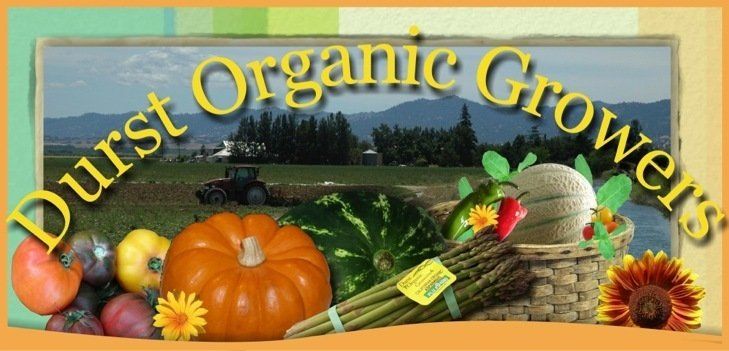 Durst Organic Growers