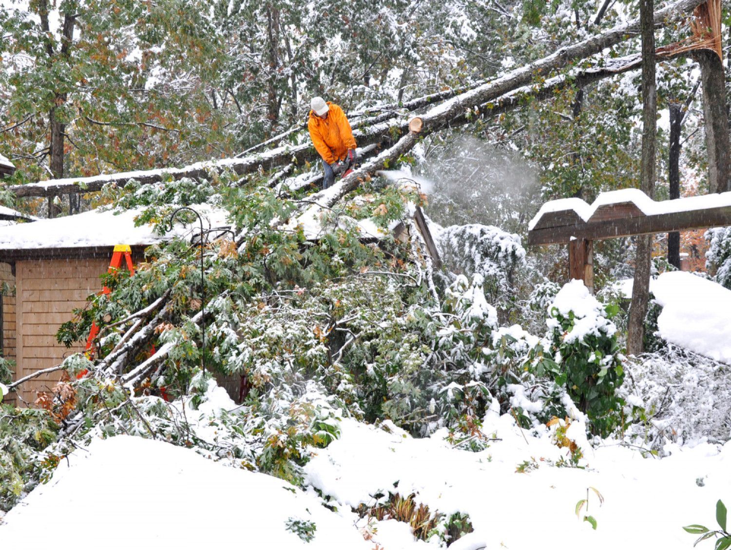 A man is standing on top of a snow covered tree.