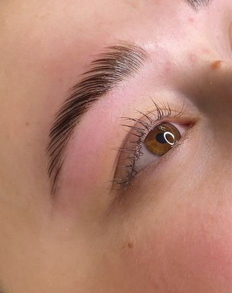 brow lamination