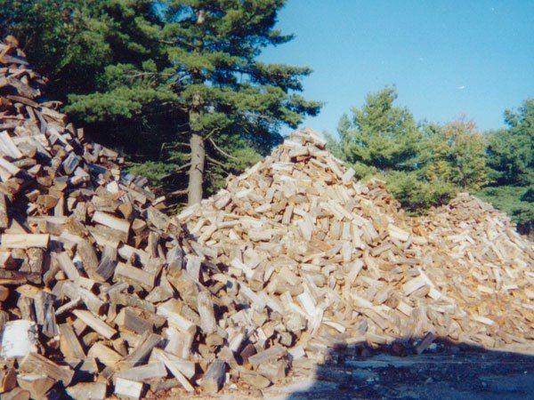 Logs — Worcester In Westminster, Ma