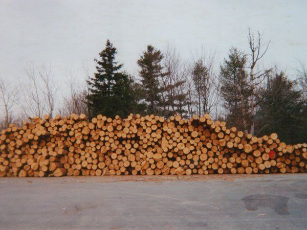 Pile Of Logs — Worcester In Westminster, Ma