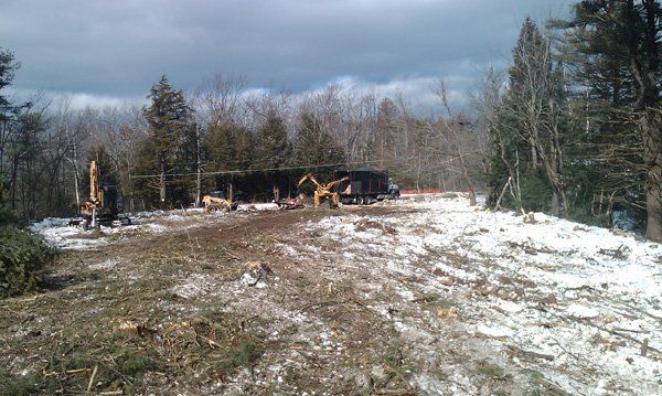 Cleared Forest — Land Clearing In Westminster, MA