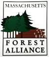 Forest Alliance Big Trees — Land Clearing In Westminster, MA