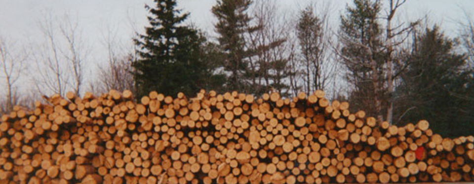Pile of Logs — Land Clearing In Westminster, MA
