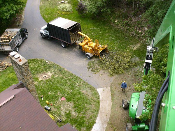 Truck Clearing Trees — Land Clearing In Westminster, MA