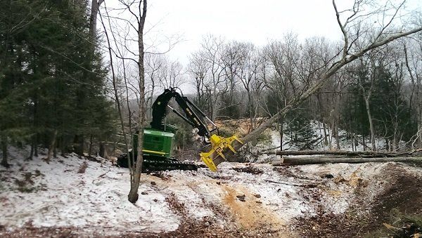 Truck Pulling Tree — Stump Grinding In Westminster, MA