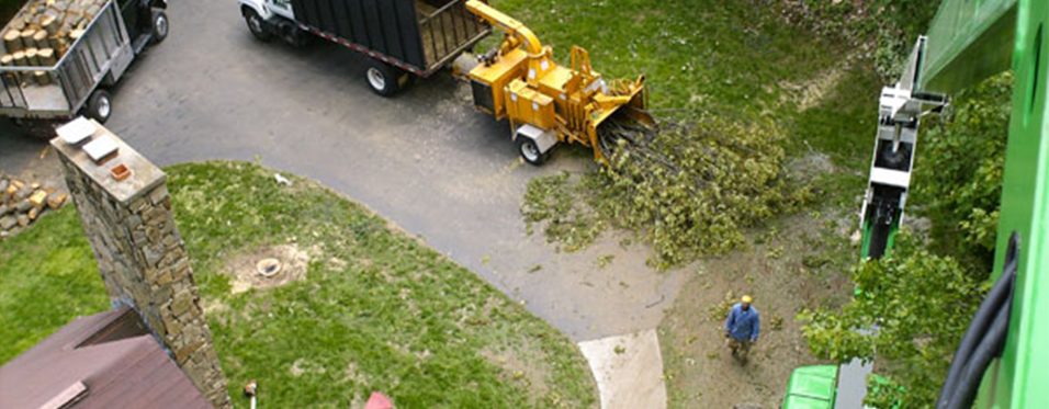 Truck Clearing Trees — Tree Removal Services In Westminster, MA