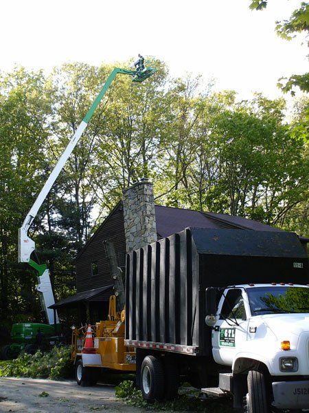 Truck With Trees Big Tree —  Big Tree — Tree Removal Services In Westminster, MA