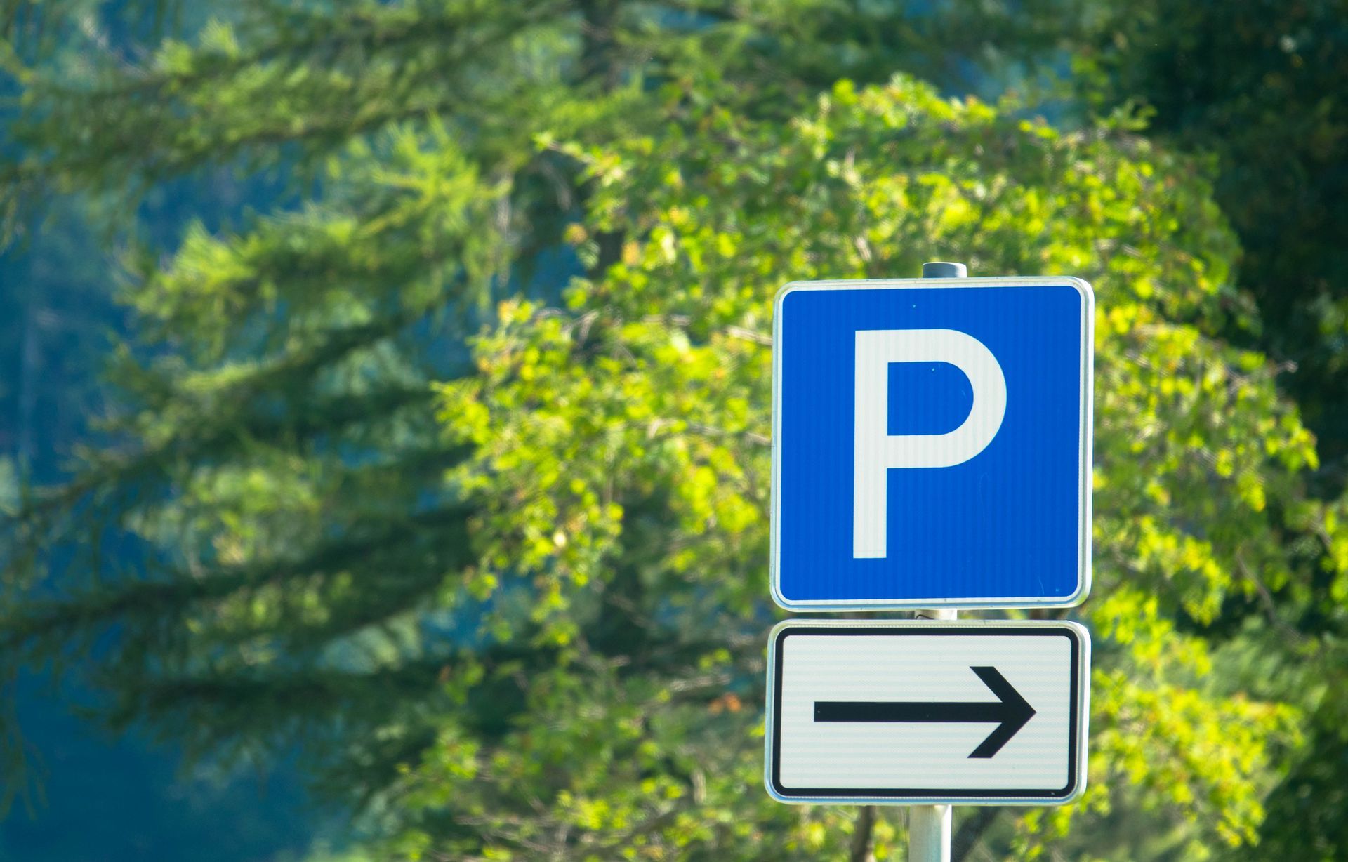 Cartello di parcheggio con una "P" bianca su un quadrato blu e una freccia che indica la direzione giusta. Alberi verdi sullo sfondo.