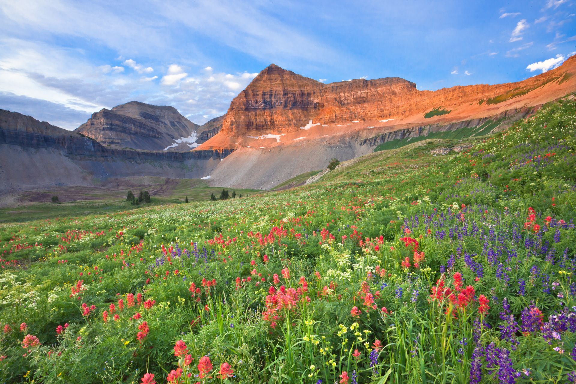 Derivita in Sandy, Utah