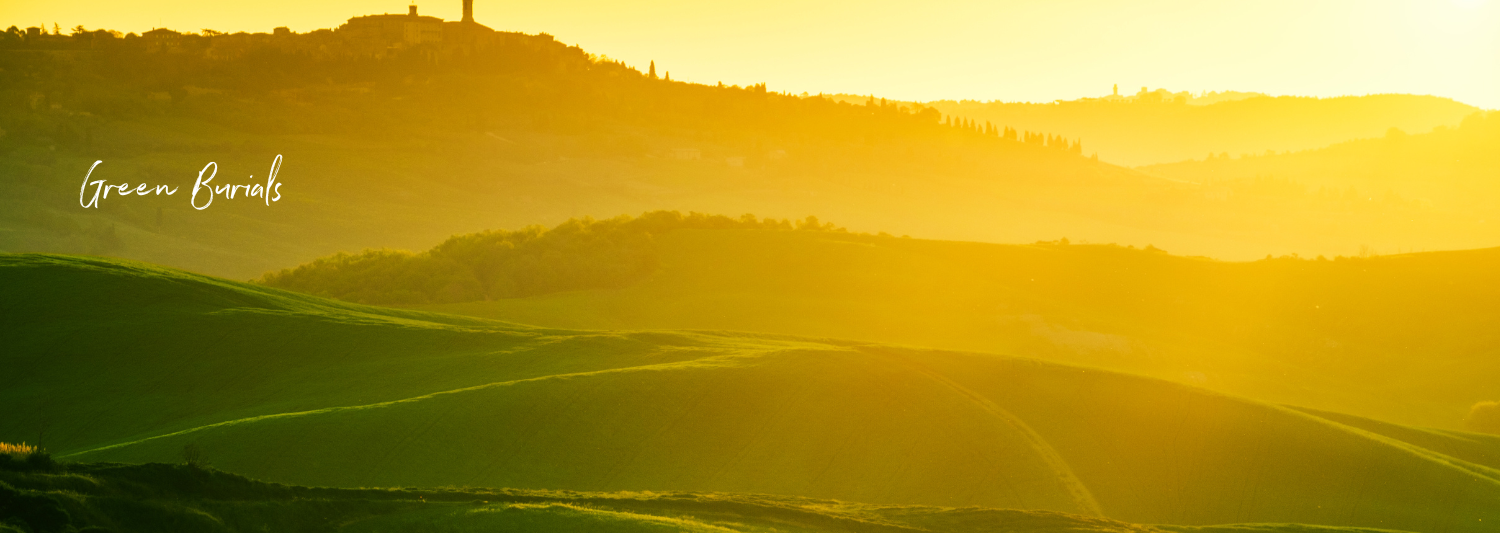 The sun is setting over a lush green hillside.