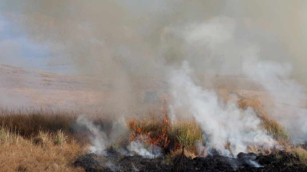 A Grass Fire in a Field With Smoke Coming Out of It — Gears Excavation In Cedar Pocket, QLD