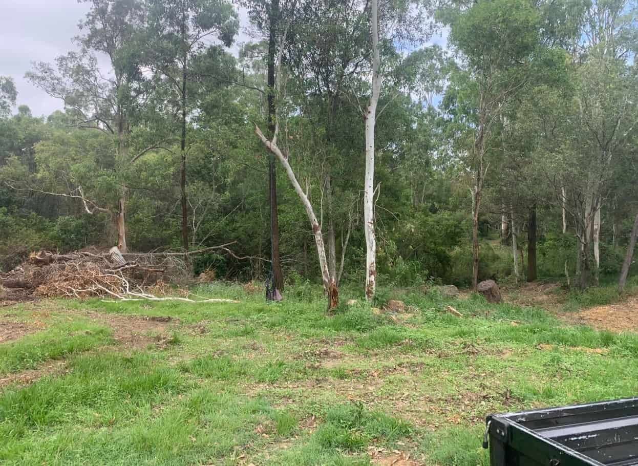 A Truck is Parked in a Grassy Field in the Middle of a Forest — Gears Excavation In Cedar Pocket, QLD