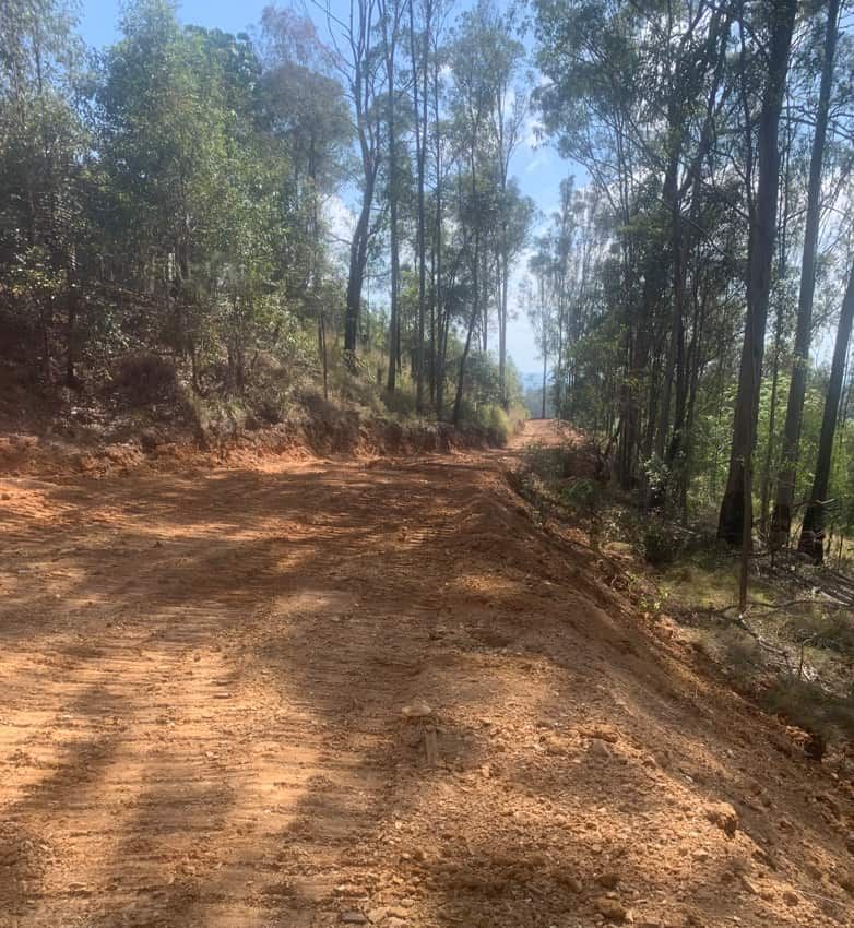 A Dirt Road Going Through a Forest on a Sunny Day — Gears Excavation In Cedar Pocket, QLD