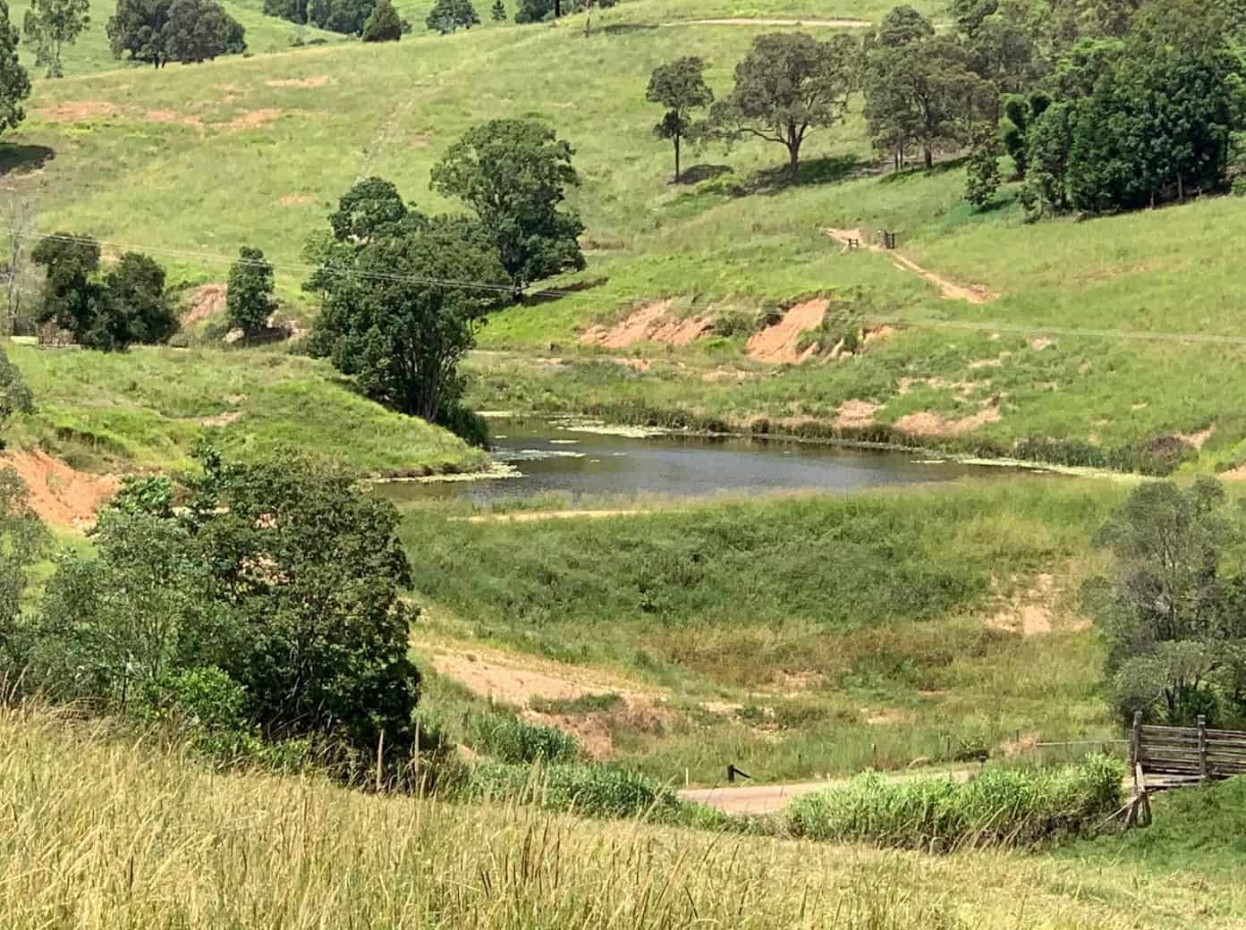 A Small Pond in the Middle of a Grassy Field — Gears Excavation In Cedar Pocket, QLD