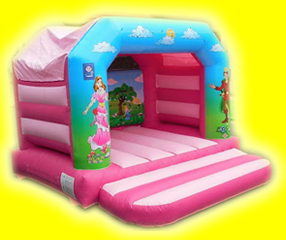 Link pink and magenta coloured bouncy castle with Princess themed artwork