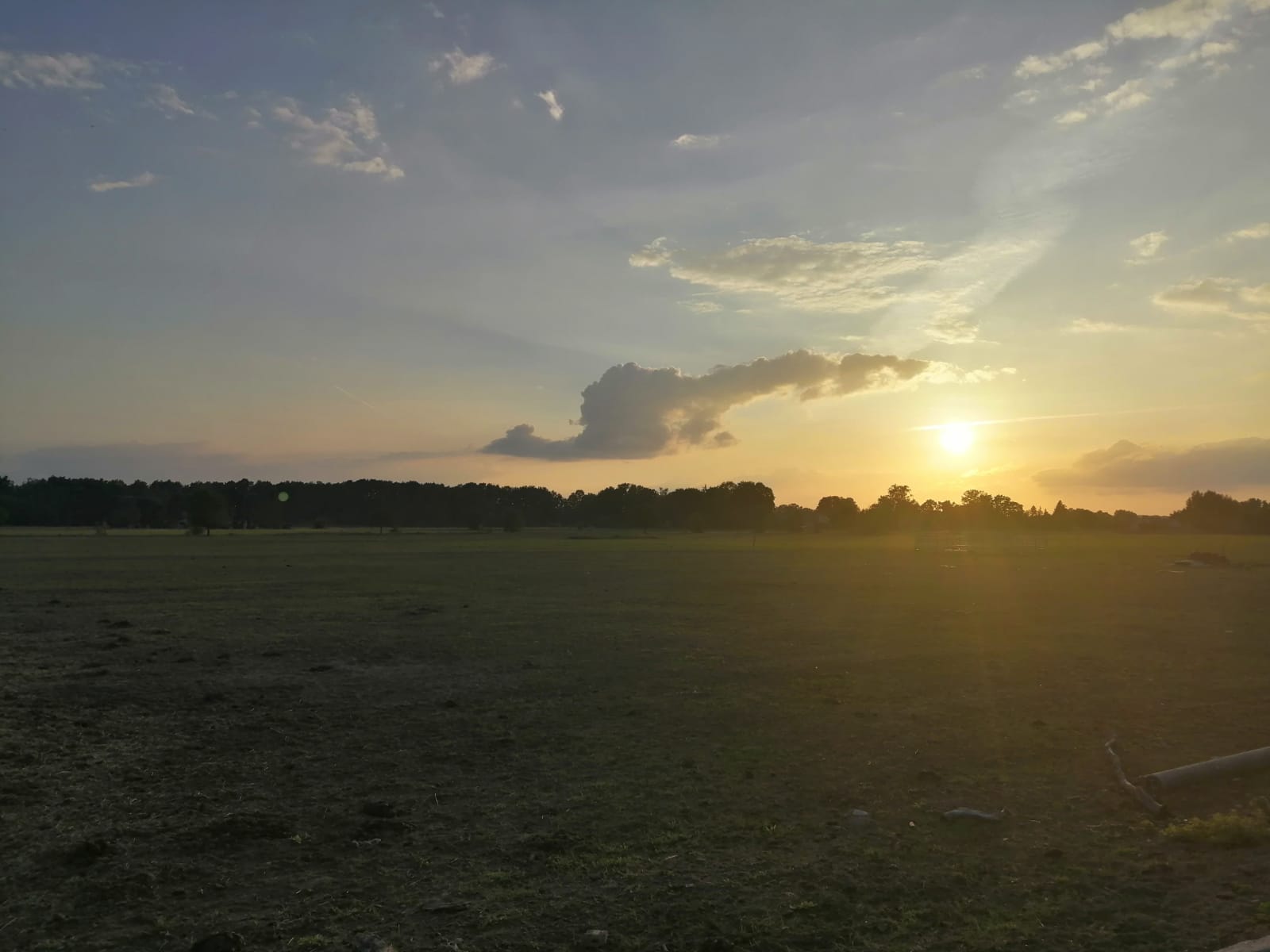 Die Sonne geht über einem Feld mit Bäumen im Hintergrund unter