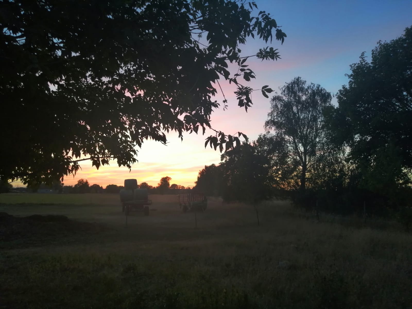 Ein Sonnenuntergang über einem Feld mit Bäumen im Vordergrund