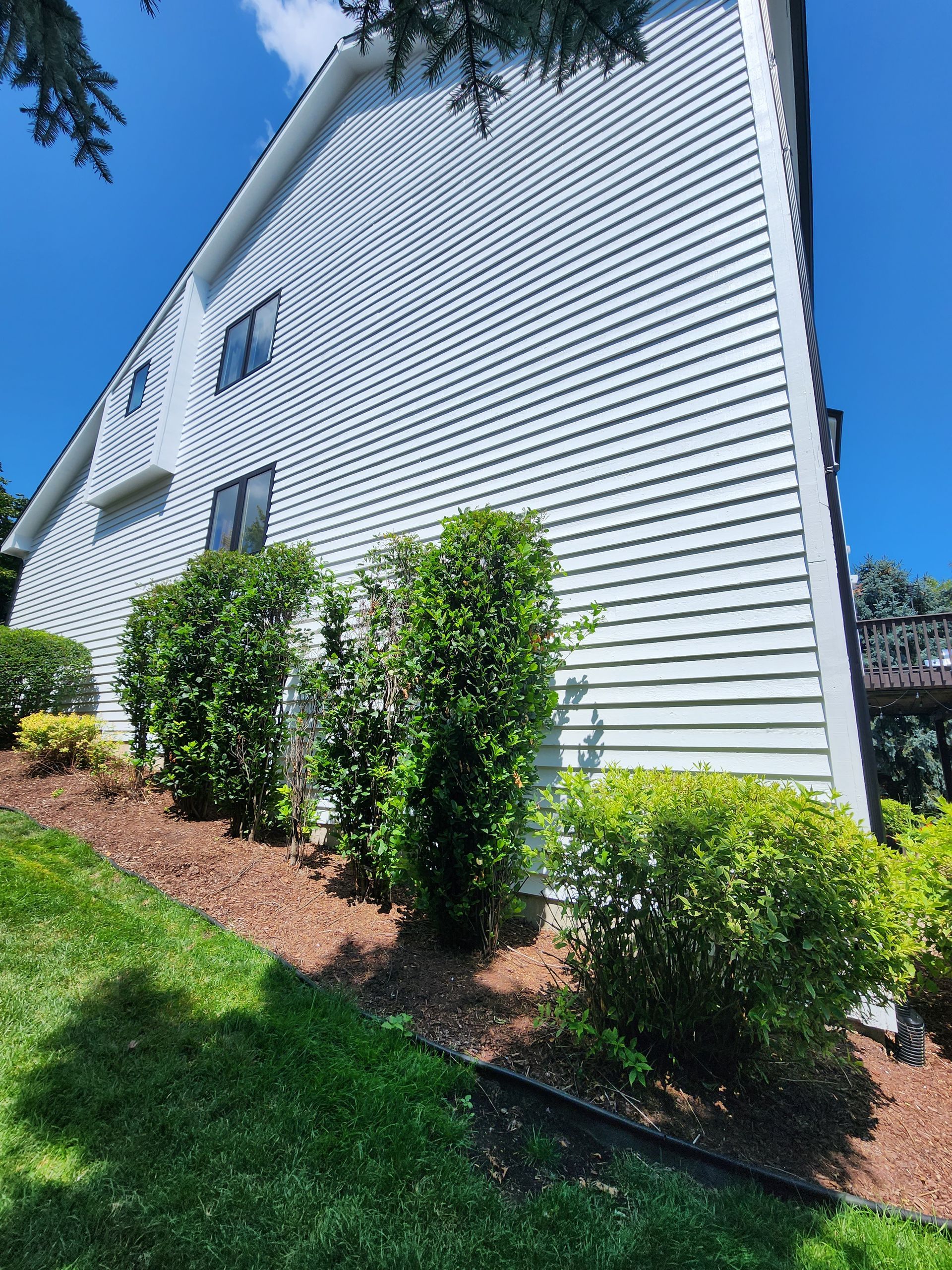 A large white house with a lot of bushes in front of it.