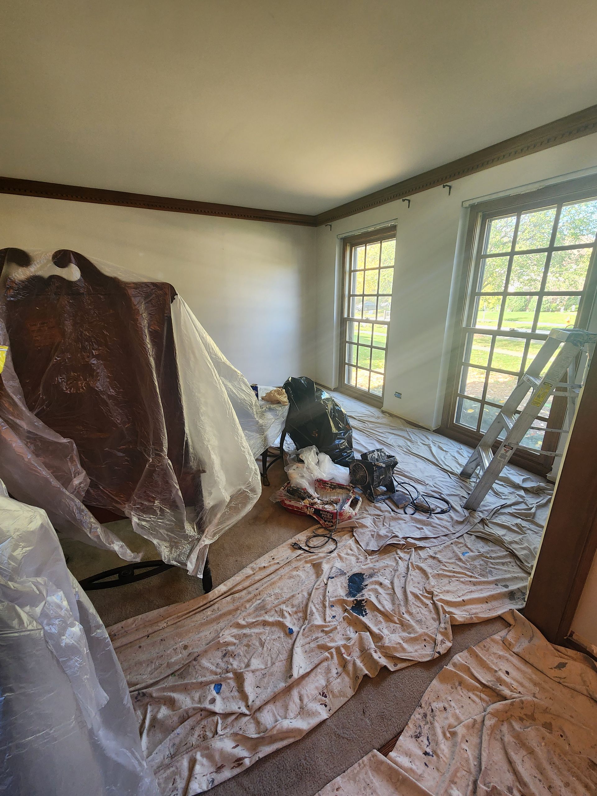 A room is being painted with a ladder in the background.
