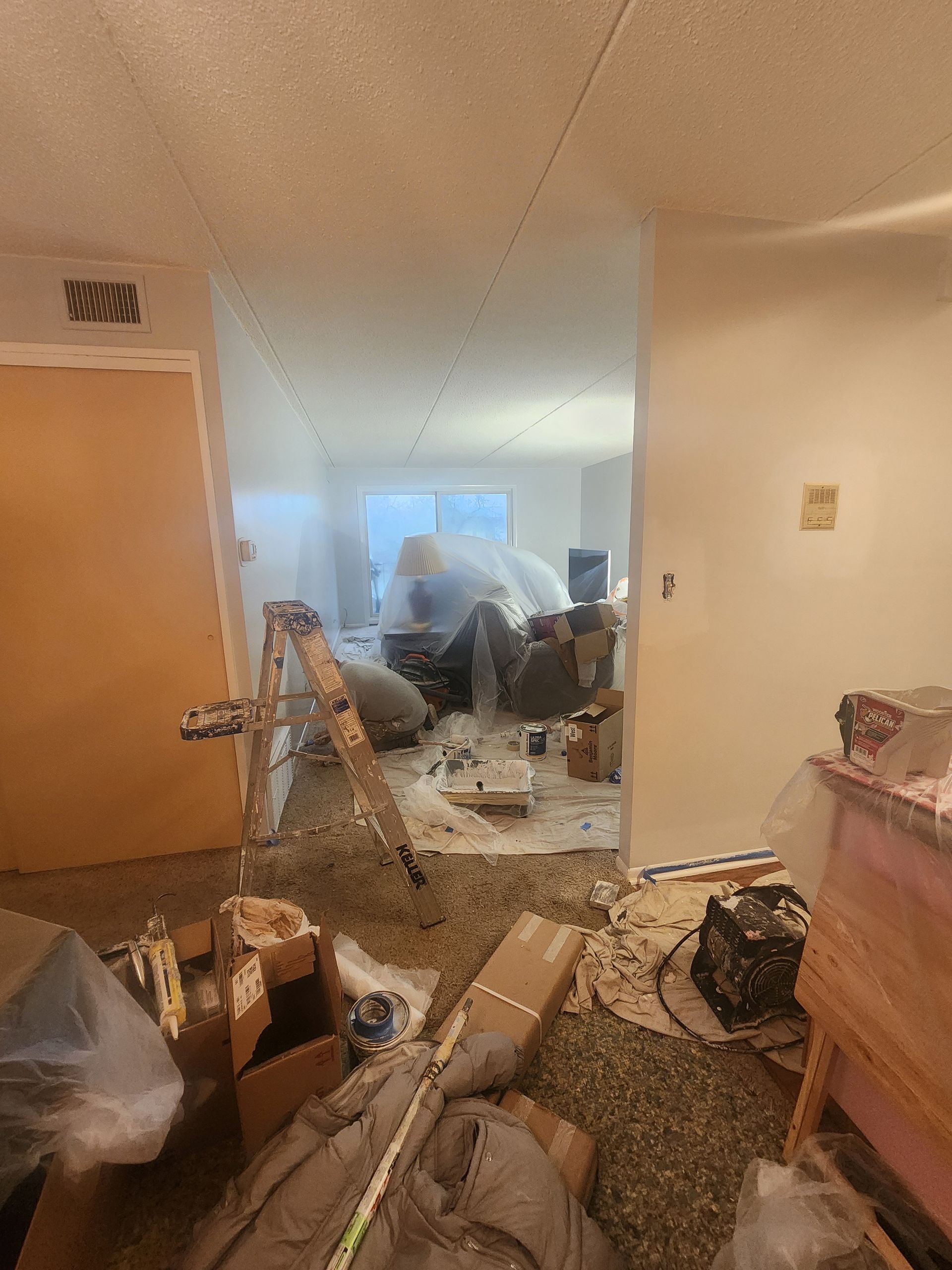 A living room with a lot of boxes on the floor and a ladder.