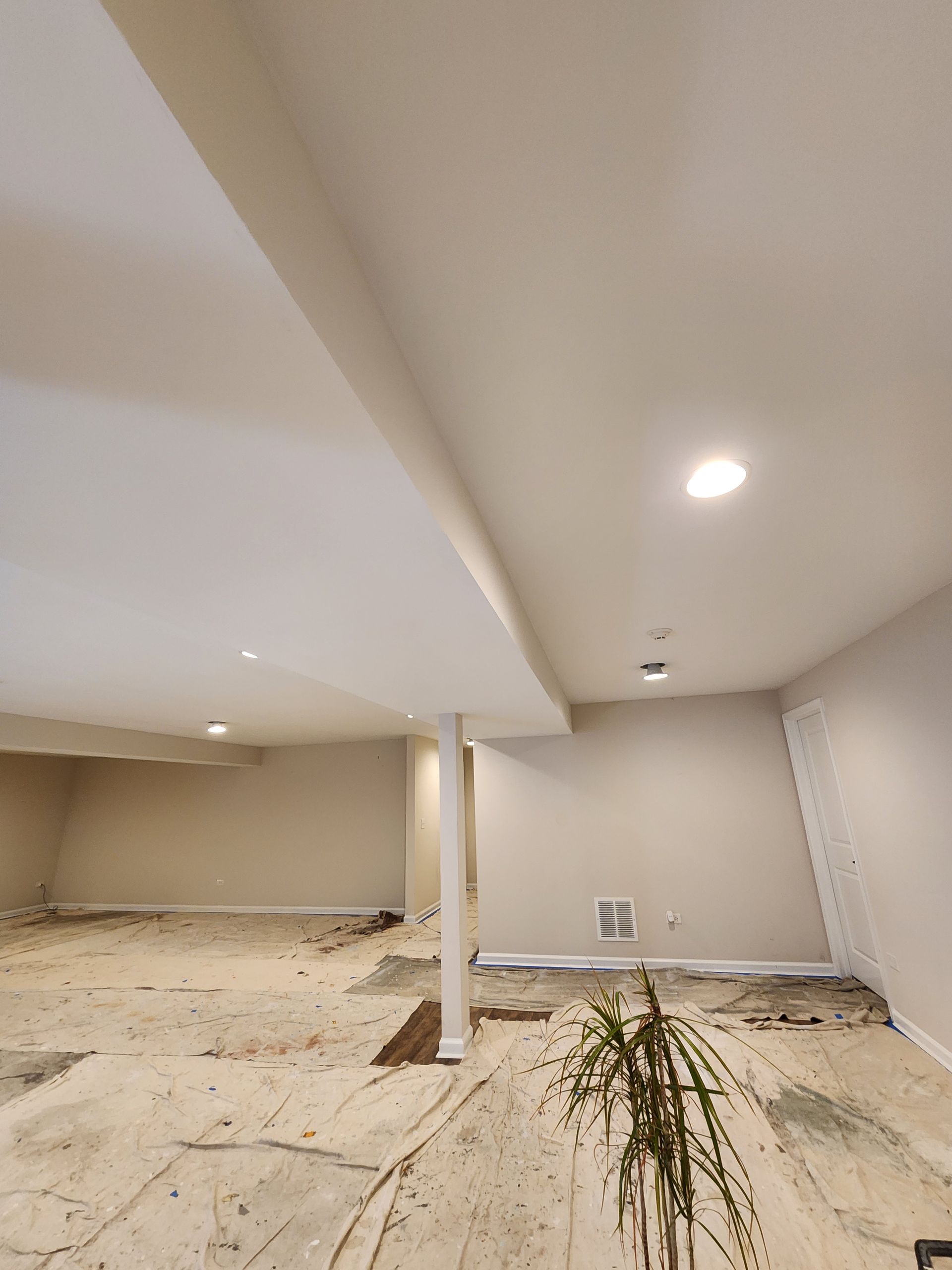 An empty basement with a plant in the middle of it.