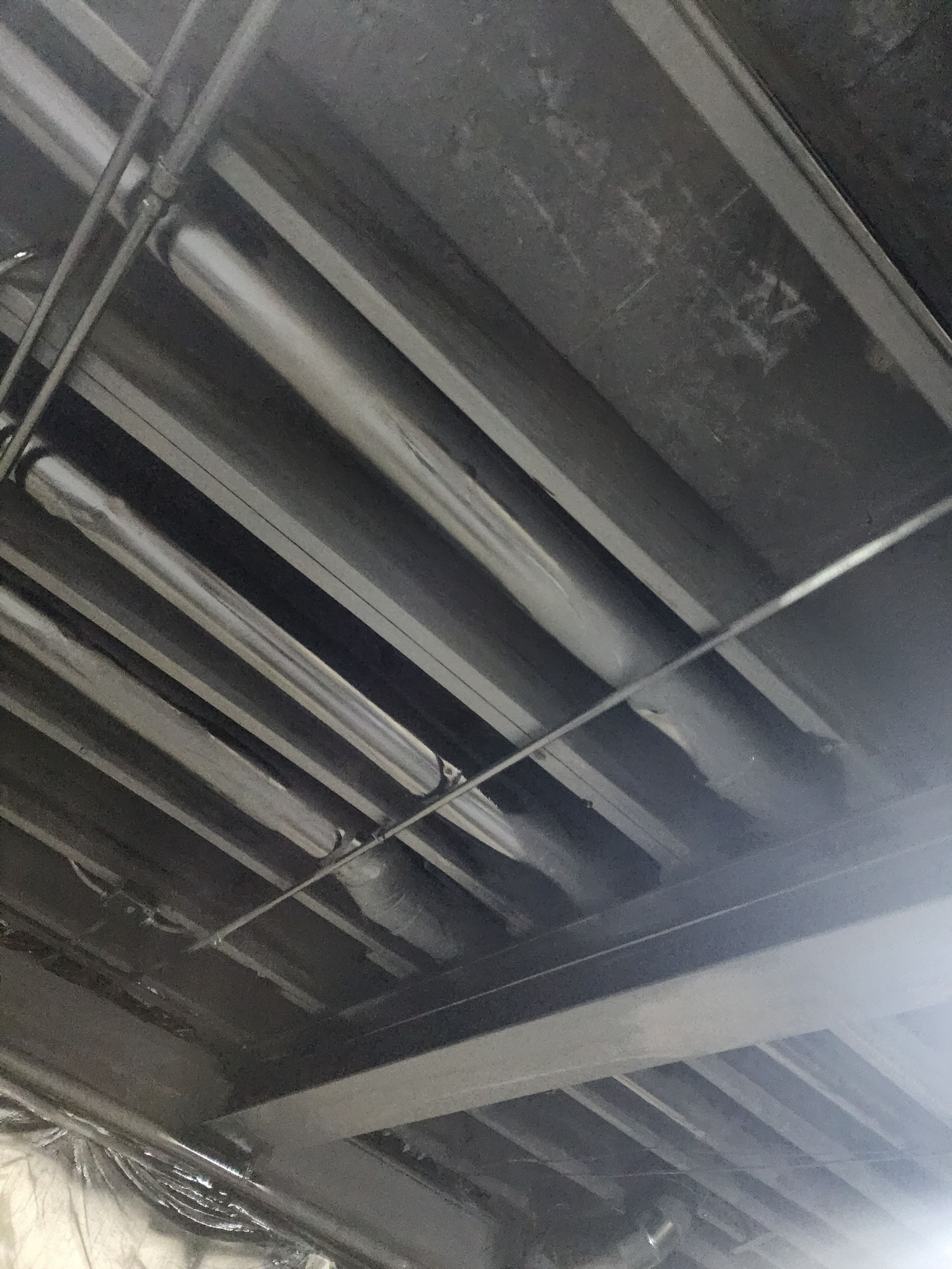 A black and white photo of the ceiling of a building