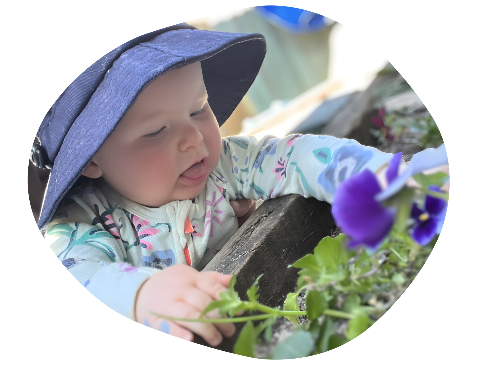 Baby wearing a blue hat, reaching toward purple flowers.