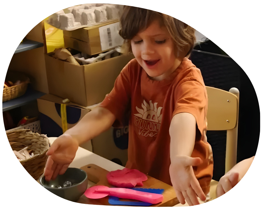 Butterfly life cycle display with illustrations, specimens, and stages of development.