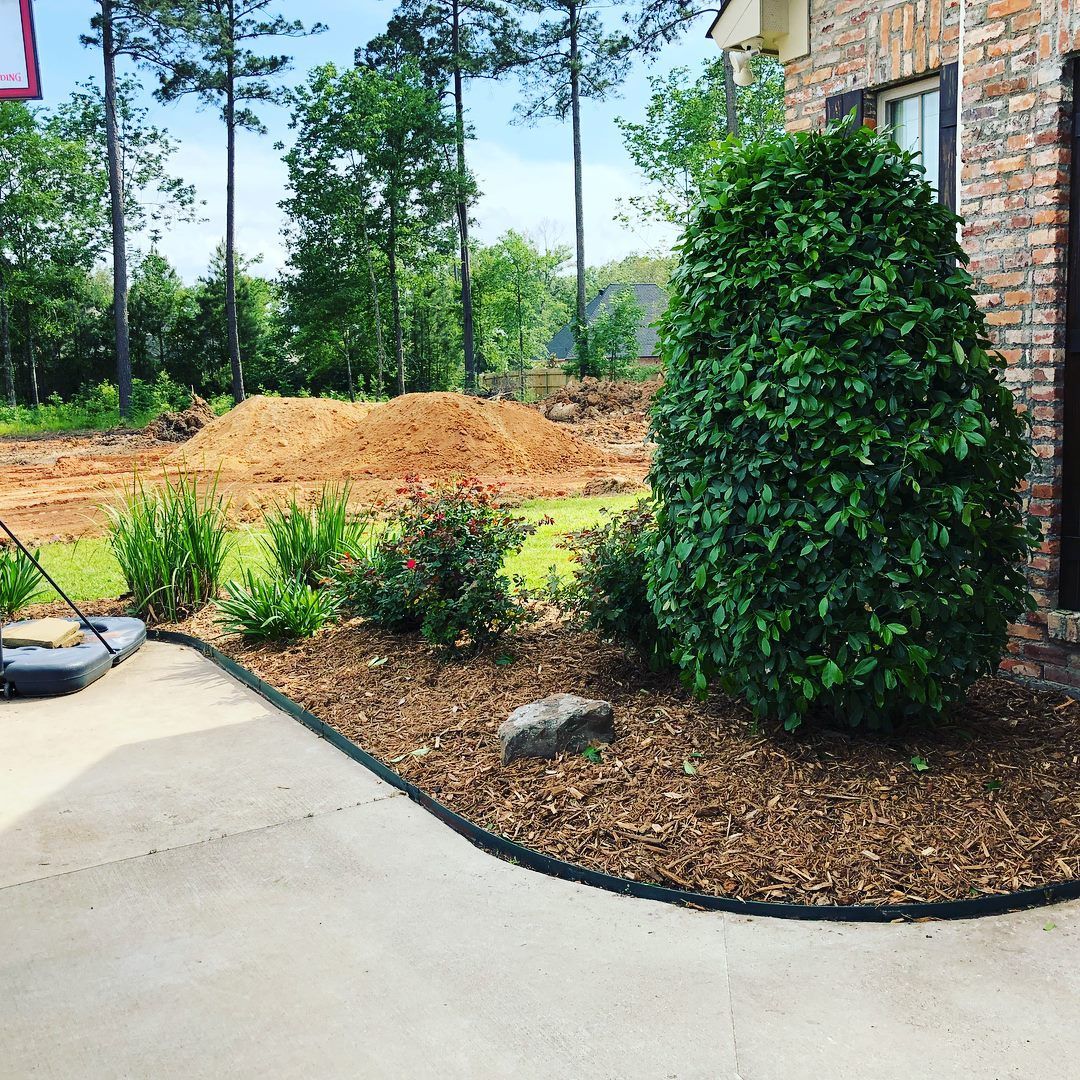 Hedge Trimming