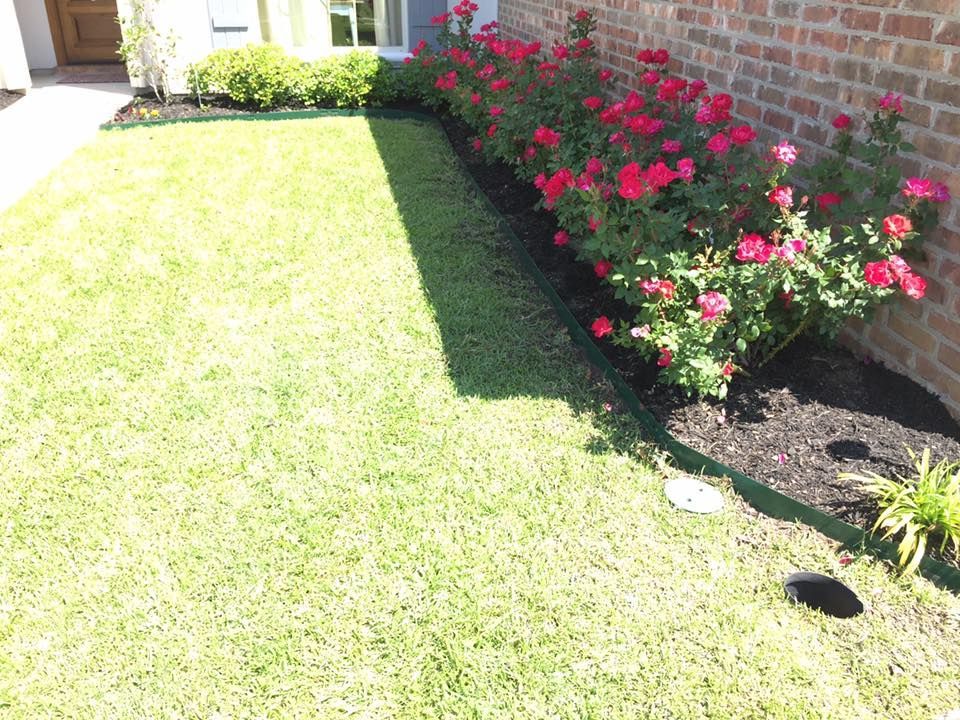 A lawn with flowers and a brick wall in the background