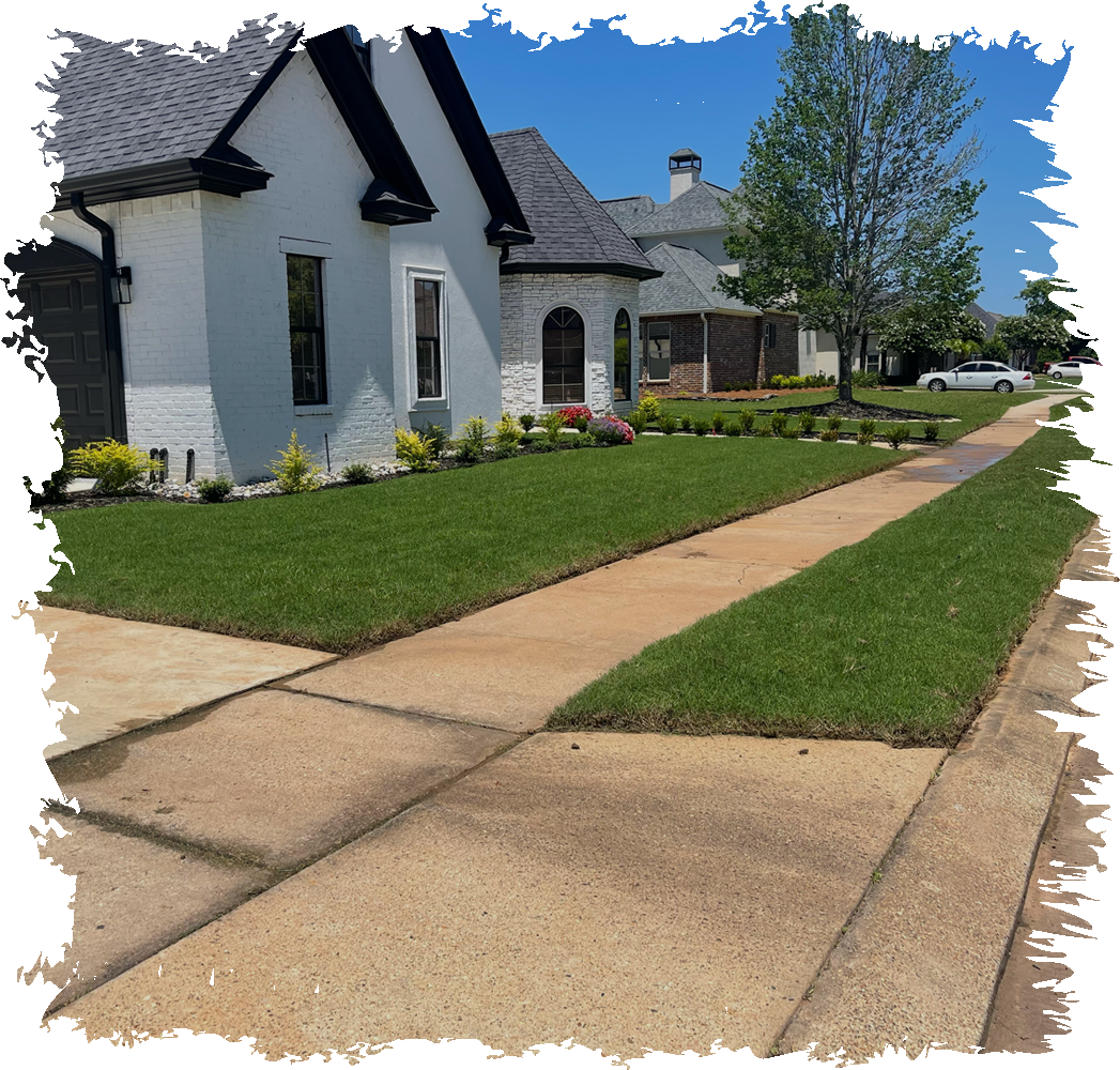 Lawn Care Mowing