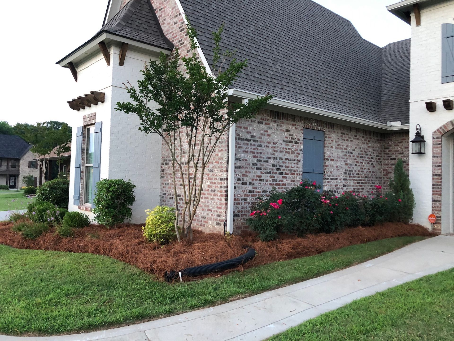 Lawn Care