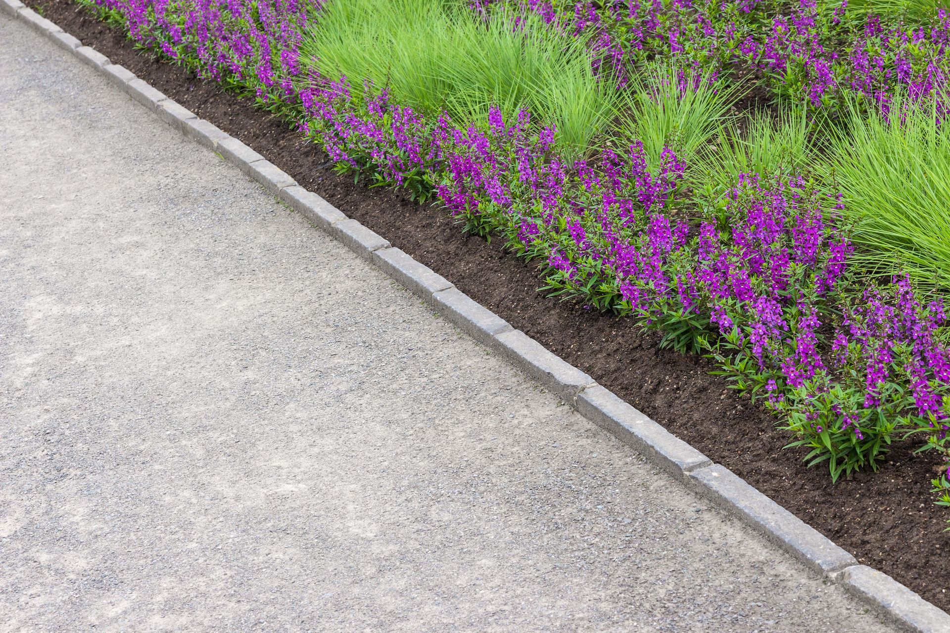 Commercial Lawn Care