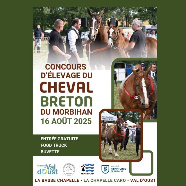 Statue Cheval Decoration | Univers Cheval