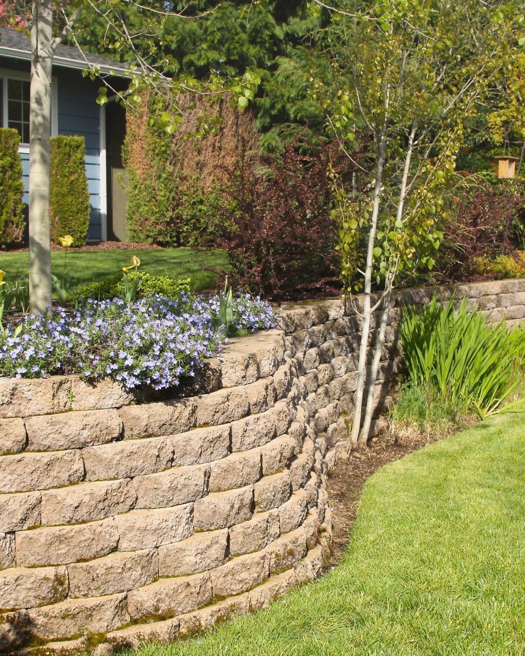Stone retaining wall with flowering plants, lawn, and small tree in front of a house.